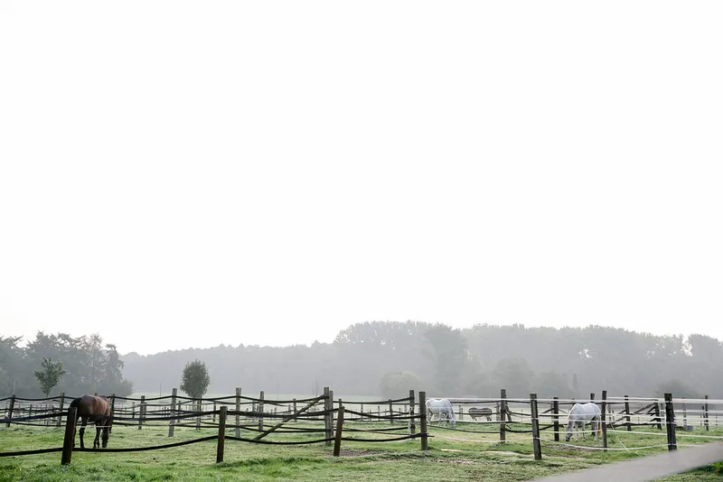 Impression aus dem Reitstall Pulheim