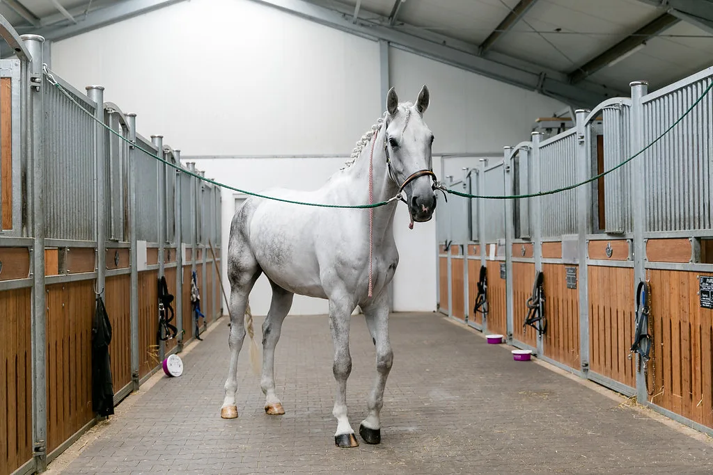 Der Hof des Reitstalls Pulheim