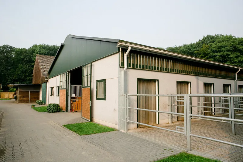 Impression aus dem Reitstall Pulheim
