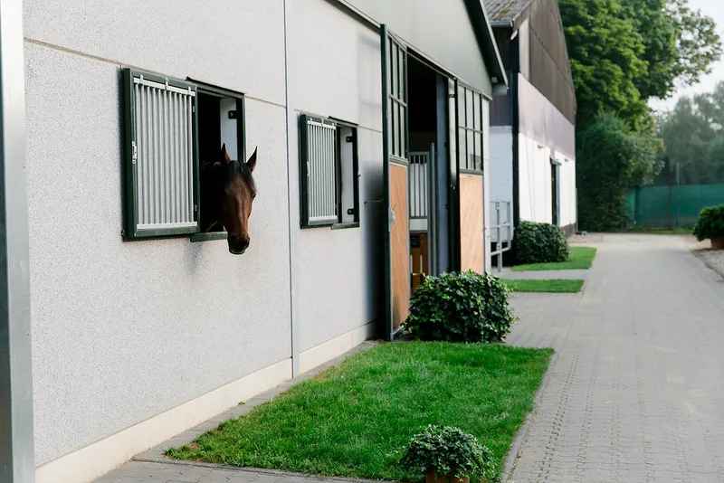 Impression aus dem Reitstall Pulheim