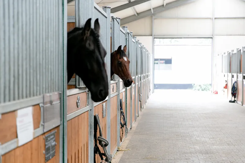 Impression aus dem Reitstall Pulheim