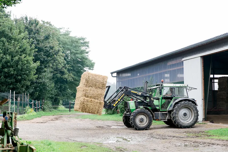 Impression aus dem Reitstall Pulheim