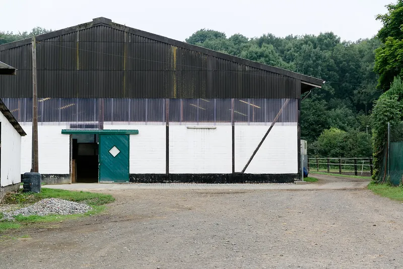 Impression aus dem Reitstall Pulheim