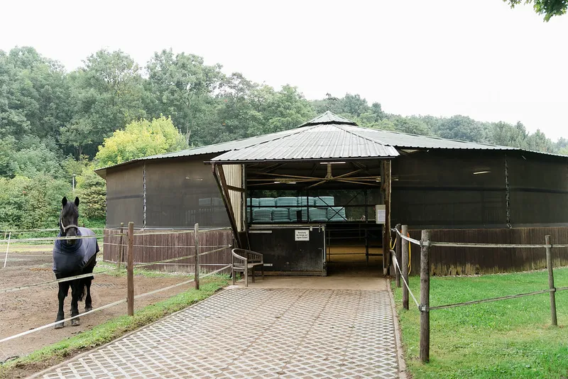 Impression aus dem Reitstall Pulheim