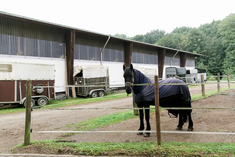 Impression aus dem Reitstall Pulheim