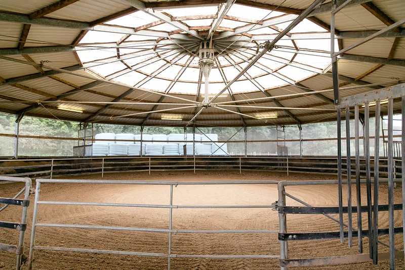 Impression aus dem Reitstall Pulheim