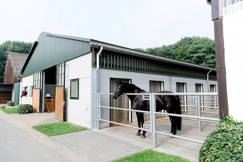 Impression aus dem Reitstall Pulheim