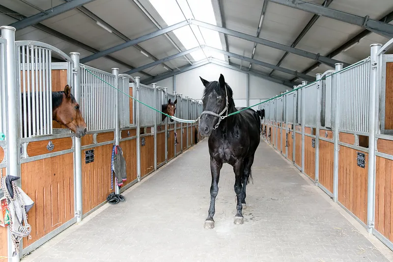Impression aus dem Reitstall Pulheim
