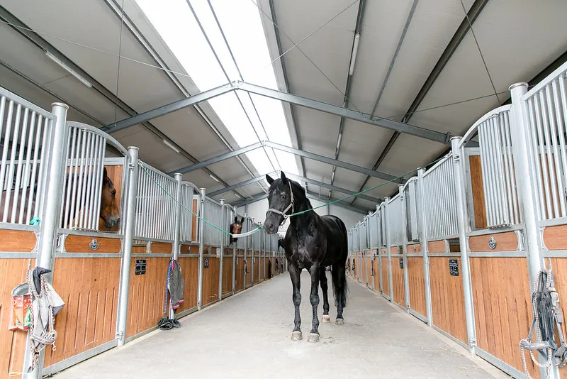 Impression aus dem Reitstall Pulheim