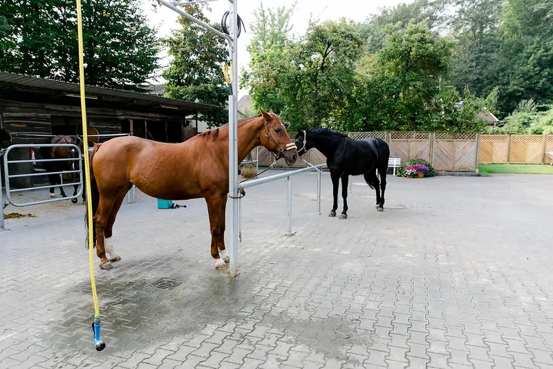 Impression aus dem Reitstall Pulheim