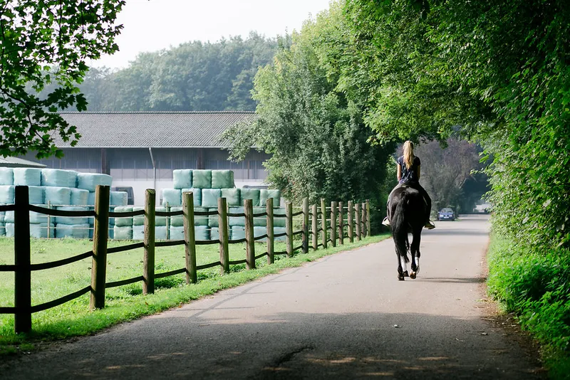 Impression aus dem Reitstall Pulheim