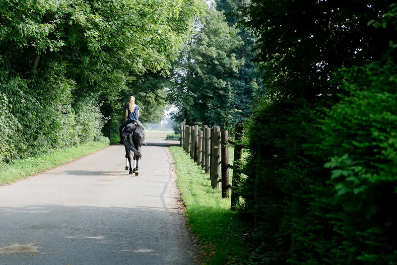 Impression aus dem Reitstall Pulheim